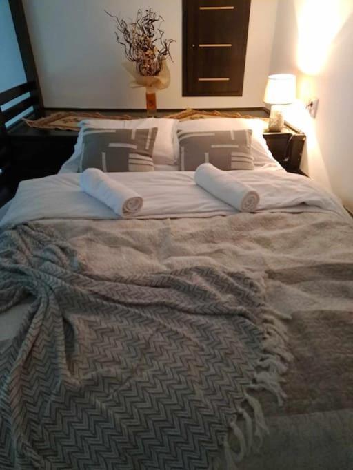 Sofia'S Home Comfy Studio In The Old Town Brasov Bagian luar foto