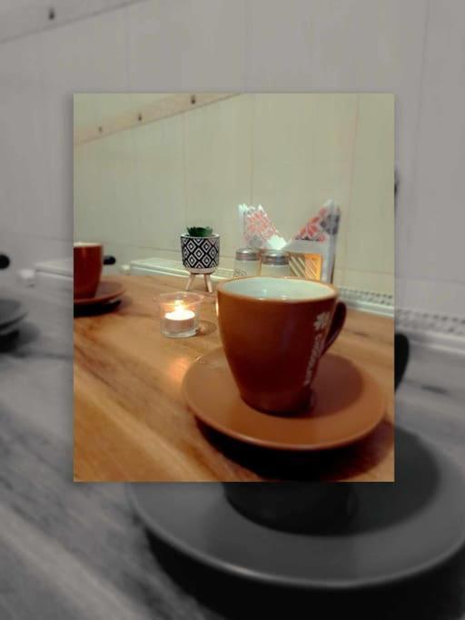 Sofia'S Home Comfy Studio In The Old Town Brasov Bagian luar foto