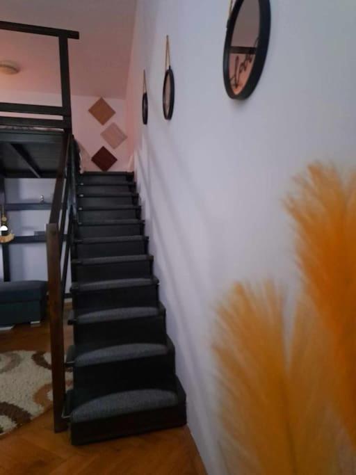 Sofia'S Home Comfy Studio In The Old Town Brasov Bagian luar foto