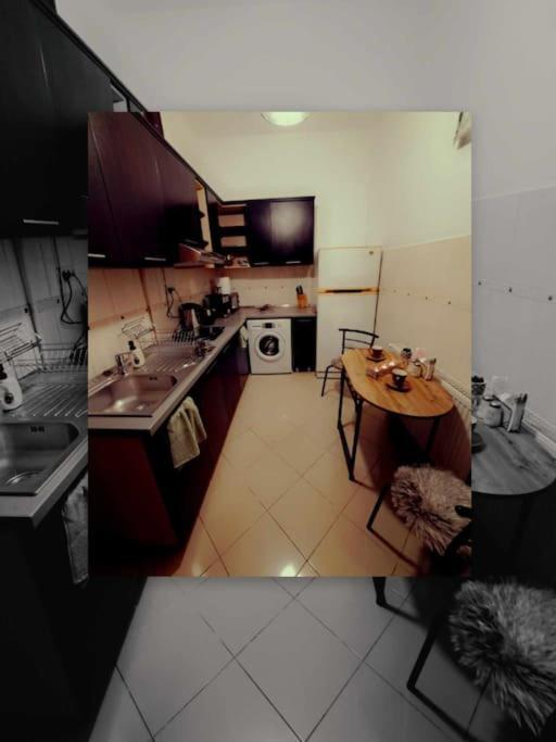 Sofia'S Home Comfy Studio In The Old Town Brasov Bagian luar foto